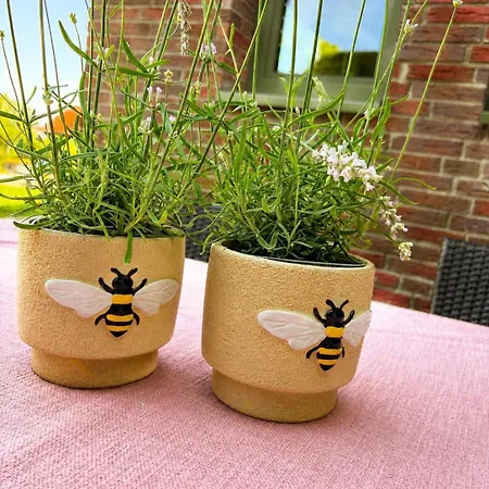 Bienenkoerbchen * Barge